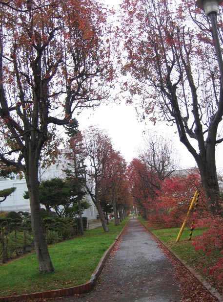 f:id:atarou:20111022194209j:image f:id:atarou:20111022194209j:image