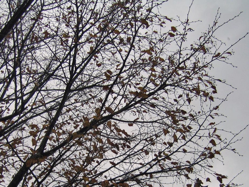 f:id:atarou:20111022194210j:image f:id:atarou:20111022194210j:image