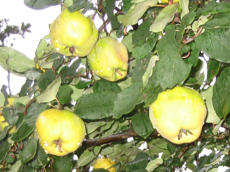 f:id:atarou:20111023061556j:image f:id:atarou:20111023061556j:image