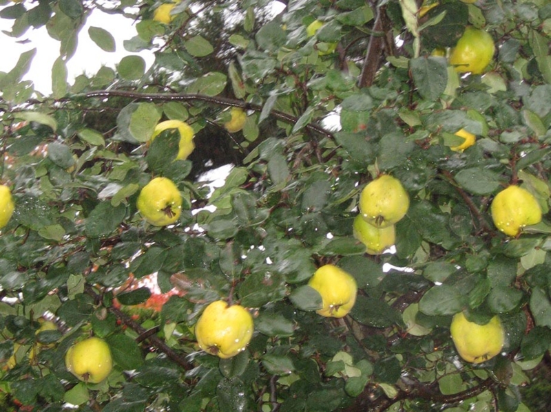 f:id:atarou:20111023061557j:image f:id:atarou:20111023061557j:image