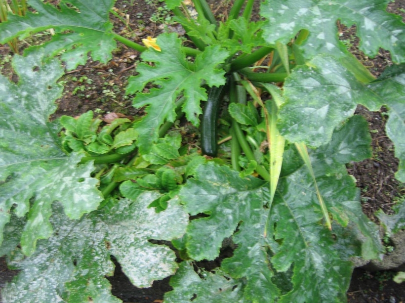 f:id:atarou:20111023061558j:image f:id:atarou:20111023061558j:image