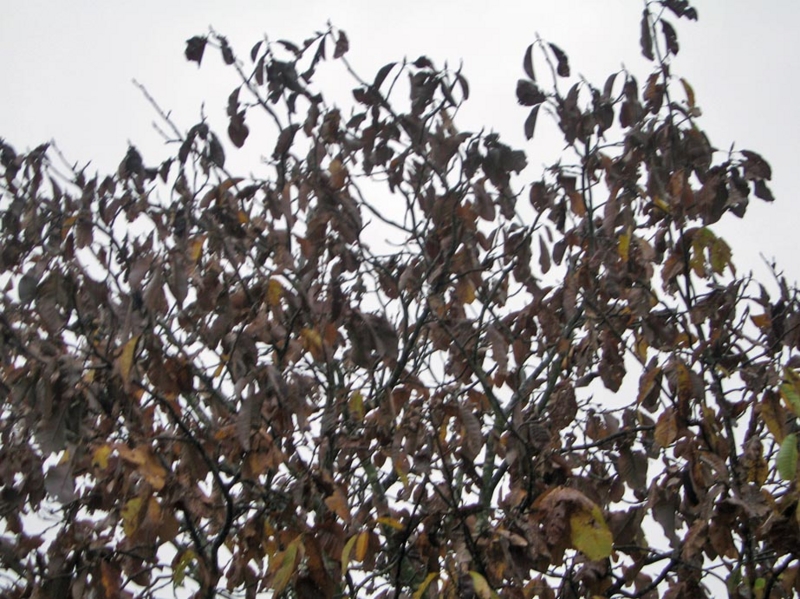 f:id:atarou:20111023062135j:image f:id:atarou:20111023062135j:image
