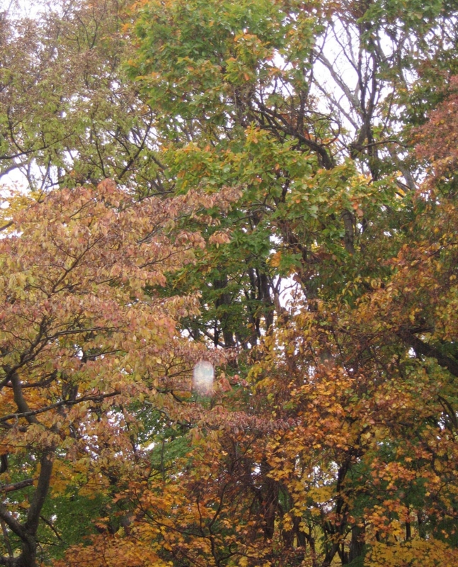 f:id:atarou:20111023062858j:image f:id:atarou:20111023062858j:image