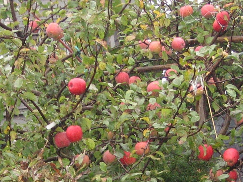 f:id:atarou:20111023063551j:image f:id:atarou:20111023063551j:image
