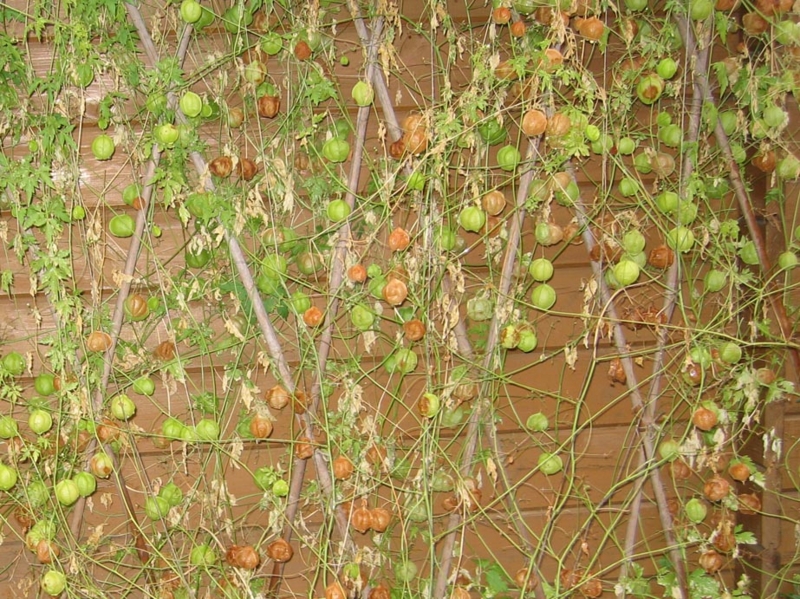 f:id:atarou:20111023063552j:image f:id:atarou:20111023063552j:image