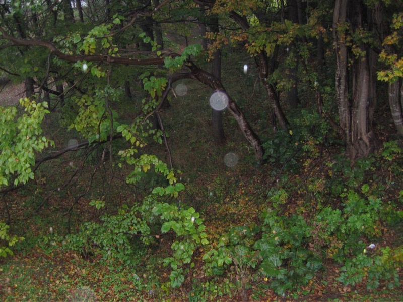 f:id:atarou:20111023063835j:image f:id:atarou:20111023063835j:image