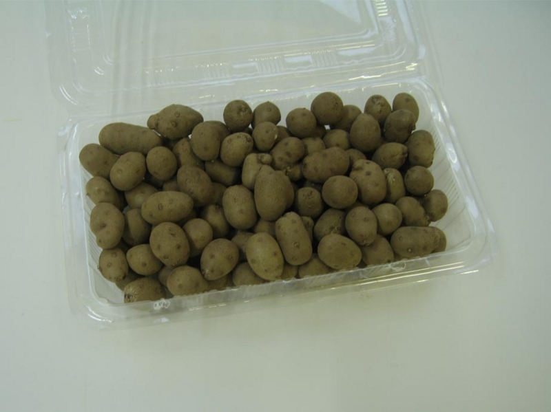 f:id:atarou:20111023065722j:image f:id:atarou:20111023065722j:image