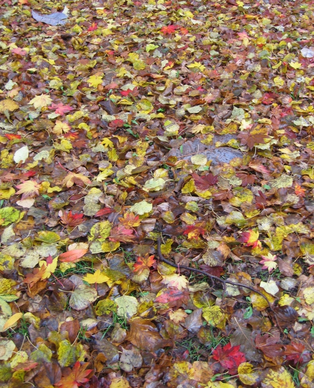 f:id:atarou:20111023165005j:image f:id:atarou:20111023165005j:image