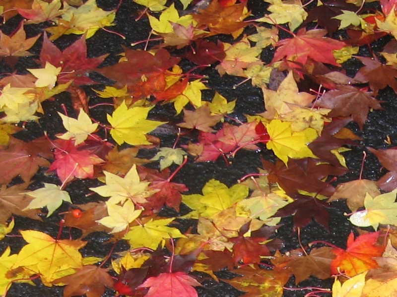 f:id:atarou:20111023193846j:image f:id:atarou:20111023193846j:image