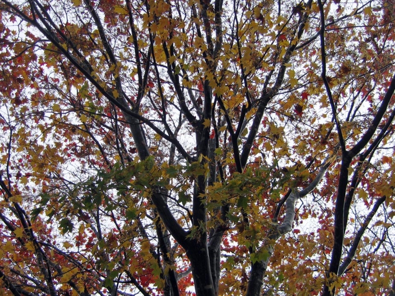 f:id:atarou:20111023193847j:image f:id:atarou:20111023193847j:image