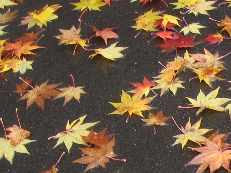 f:id:atarou:20111023193849j:image f:id:atarou:20111023193849j:image
