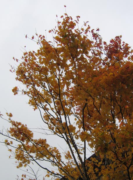 f:id:atarou:20111023193850j:image f:id:atarou:20111023193850j:image