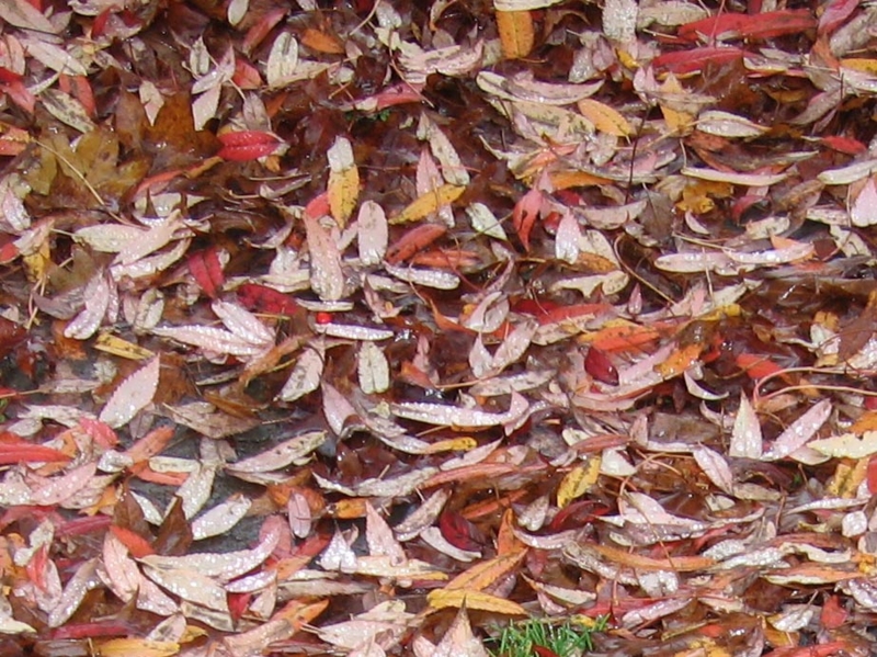 f:id:atarou:20111023193851j:image f:id:atarou:20111023193851j:image