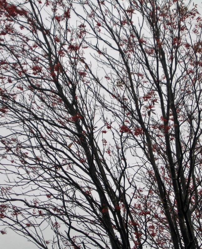 f:id:atarou:20111023193852j:image f:id:atarou:20111023193852j:image