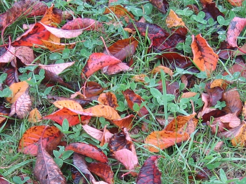 f:id:atarou:20111023193942j:image f:id:atarou:20111023193942j:image