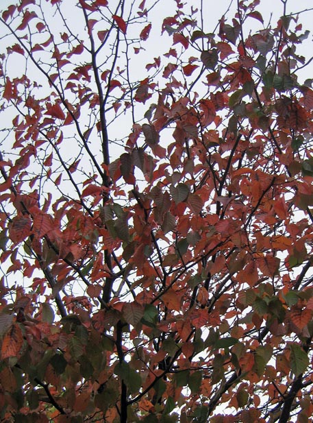f:id:atarou:20111023193944j:image f:id:atarou:20111023193944j:image