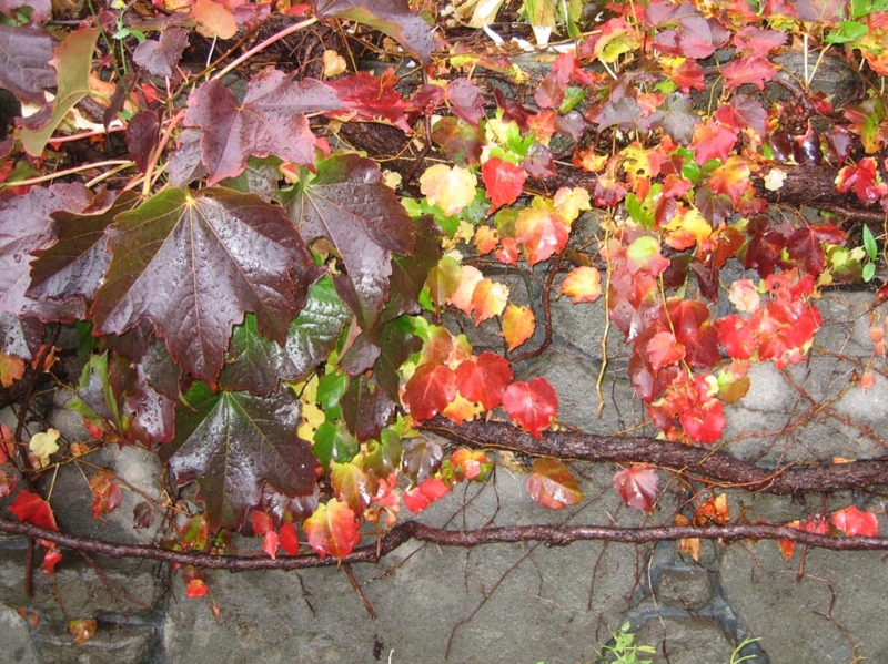 f:id:atarou:20111024062447j:image f:id:atarou:20111024062447j:image