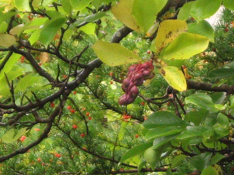 f:id:atarou:20111024062448j:image f:id:atarou:20111024062448j:image