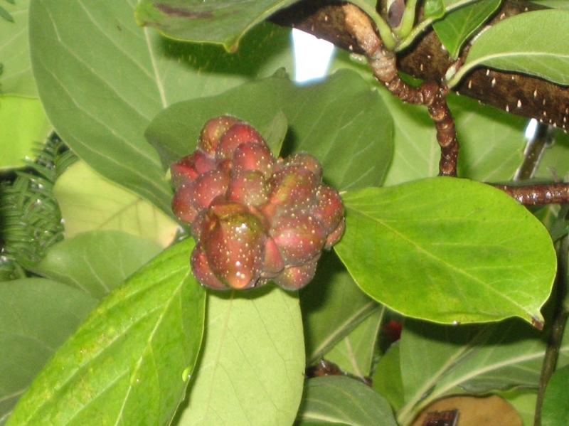 f:id:atarou:20111024062450j:image f:id:atarou:20111024062450j:image