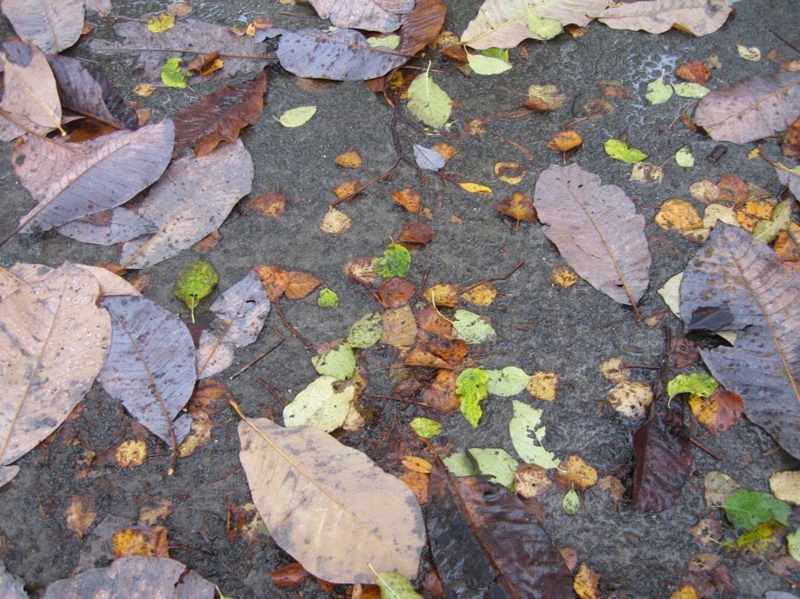 f:id:atarou:20111024063053j:image f:id:atarou:20111024063053j:image