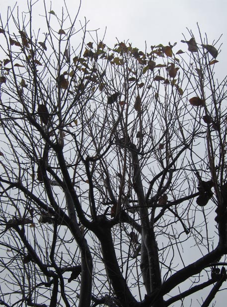 f:id:atarou:20111024063054j:image f:id:atarou:20111024063054j:image