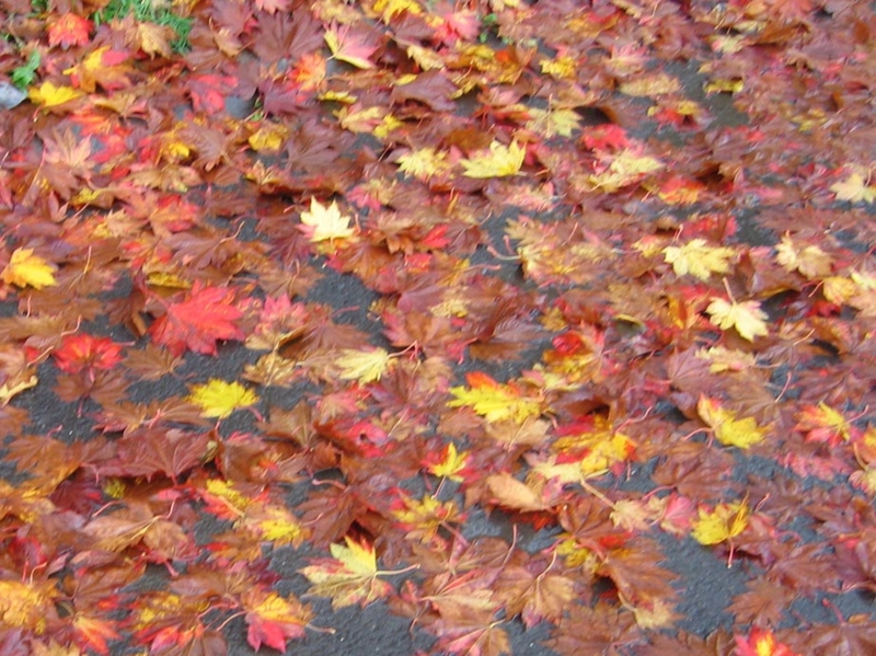 f:id:atarou:20111024063543j:image f:id:atarou:20111024063543j:image