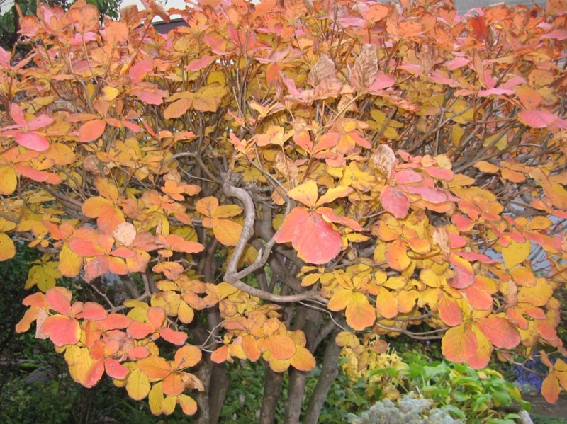 f:id:atarou:20111024174745j:image