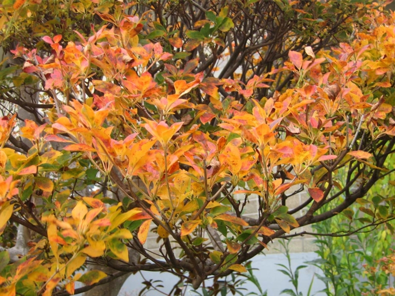 f:id:atarou:20111024174746j:image