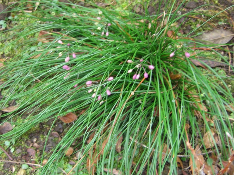 f:id:atarou:20111024175254j:image
