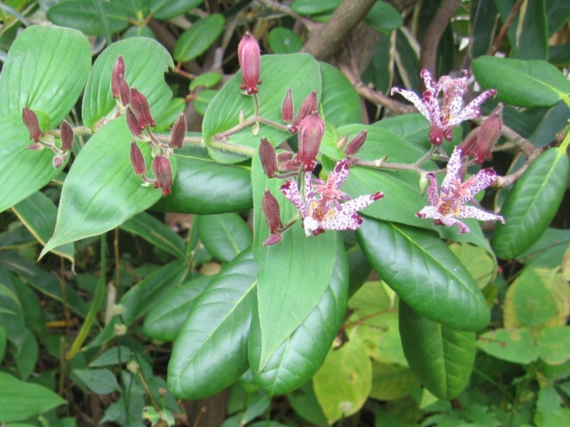 f:id:atarou:20111024175255j:image