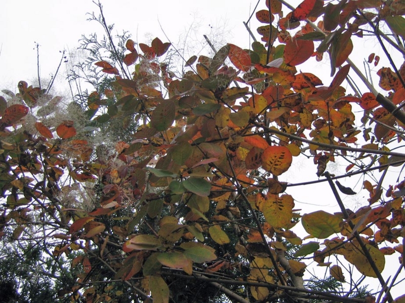 f:id:atarou:20111025070041j:image