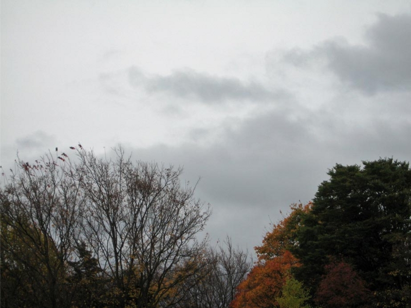 f:id:atarou:20111025071844j:image