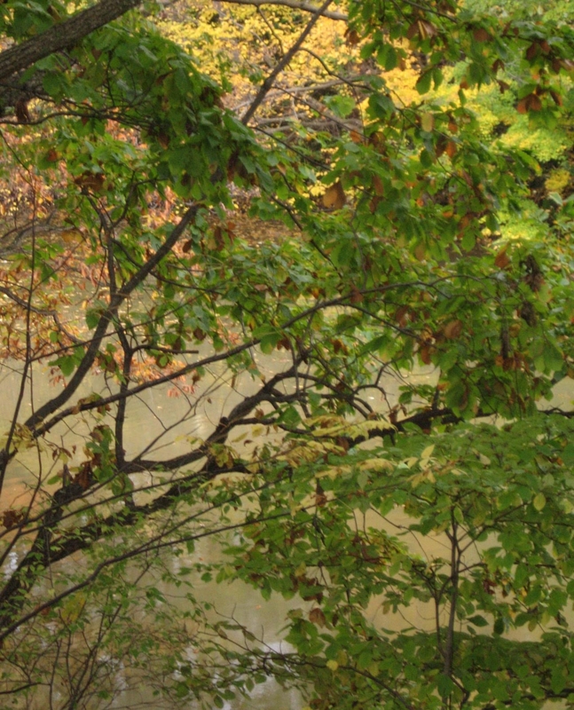 f:id:atarou:20111025161939j:image