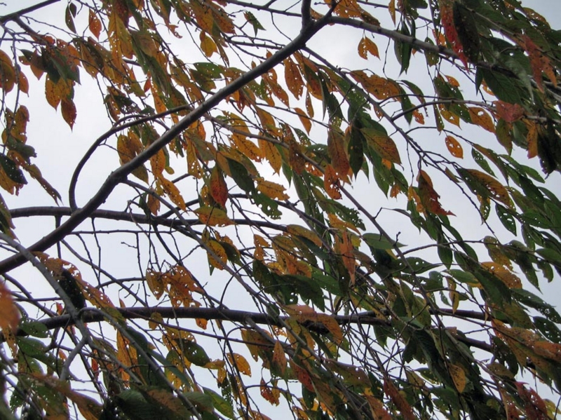 f:id:atarou:20111026064012j:image
