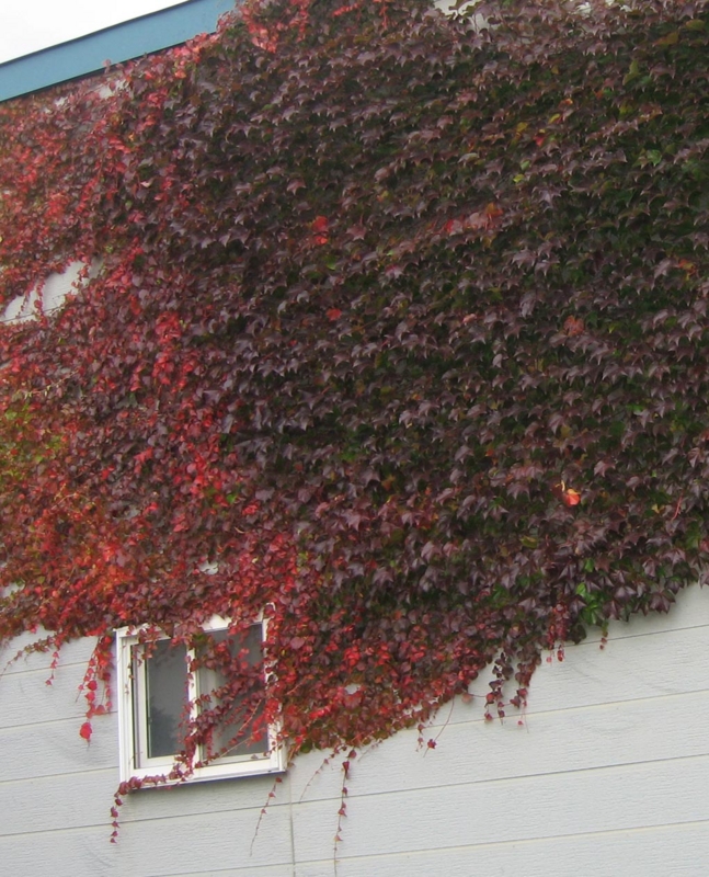 f:id:atarou:20111026195715j:image