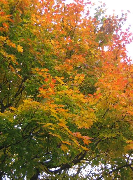 f:id:atarou:20111026201252j:image
