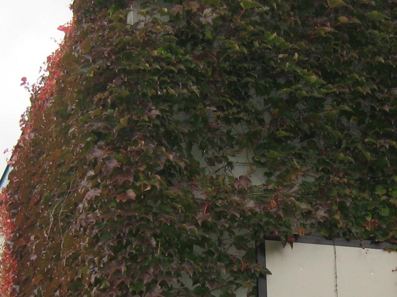 f:id:atarou:20111026201253j:image