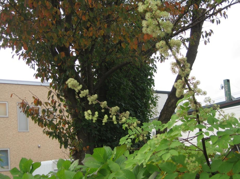 f:id:atarou:20111026201950j:image