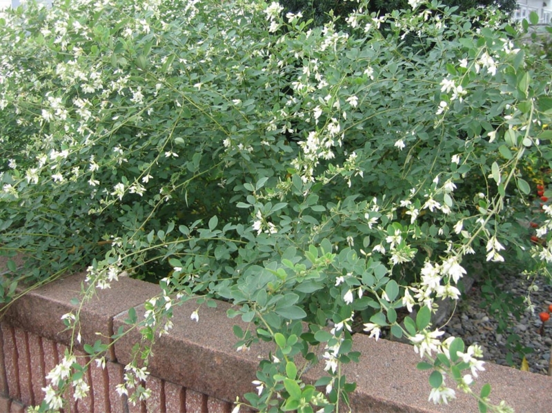 f:id:atarou:20111026201951j:image