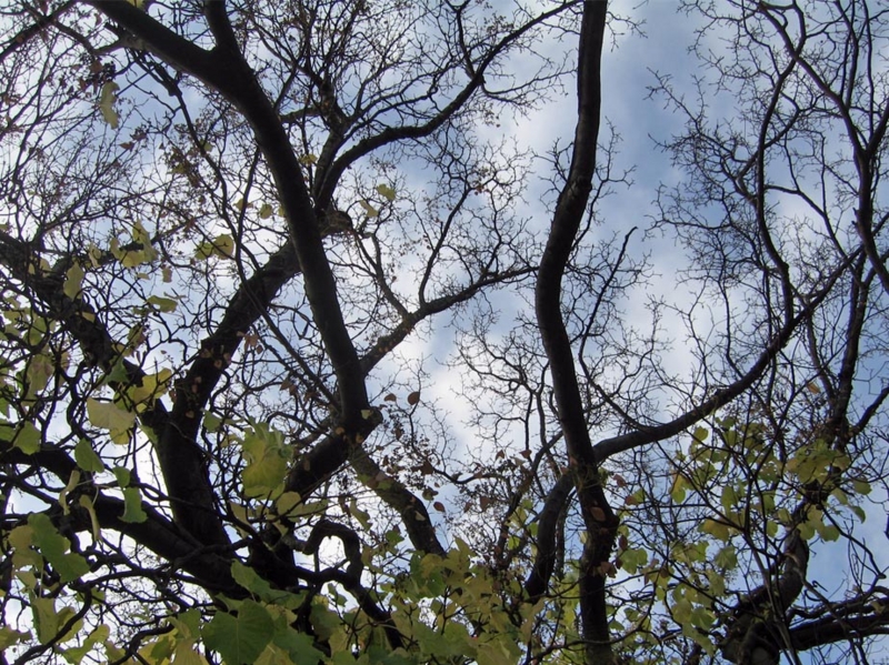 f:id:atarou:20111028192711j:image