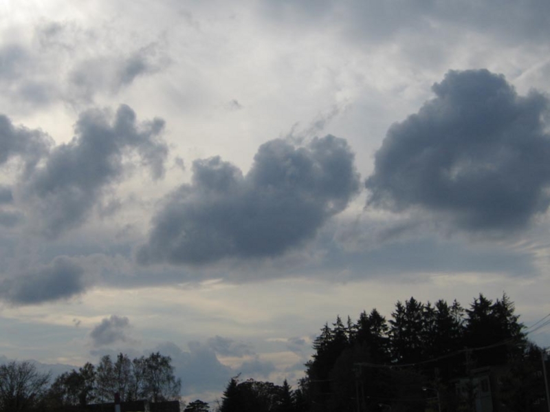 f:id:atarou:20111028192713j:image