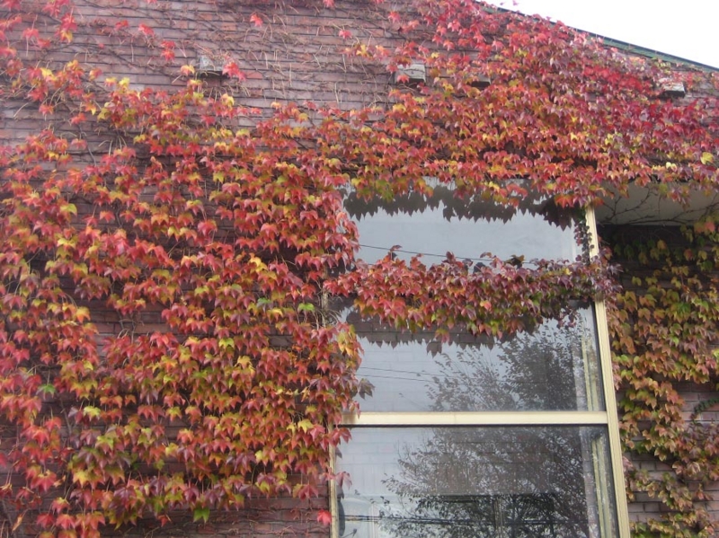 f:id:atarou:20111029060520j:image