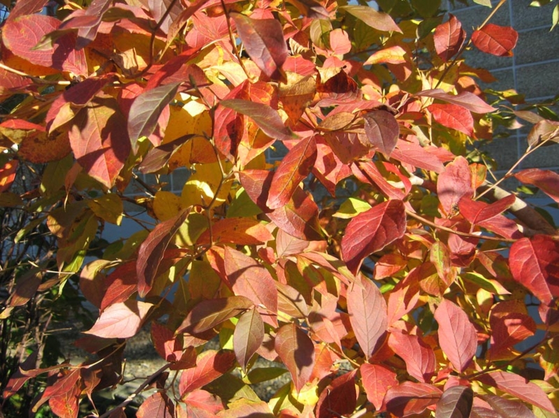 f:id:atarou:20111029194527j:image