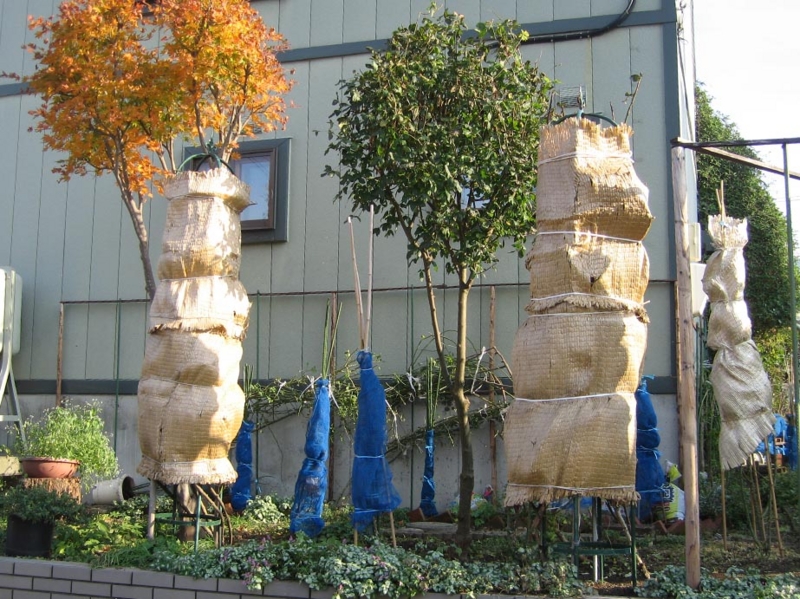 f:id:atarou:20111029195135j:image