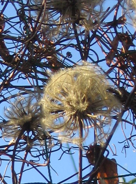 f:id:atarou:20111029195912j:image