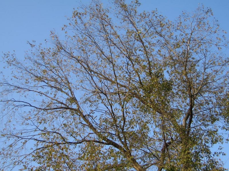 f:id:atarou:20111030063213j:image