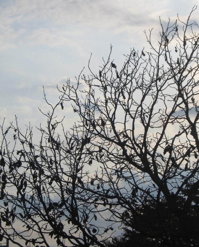 f:id:atarou:20111030063749j:image
