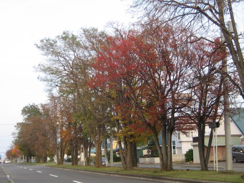 f:id:atarou:20111030064505j:image