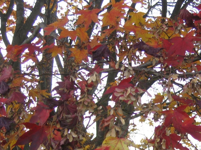 f:id:atarou:20111030064506j:image