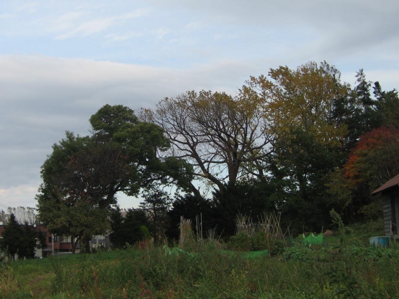 f:id:atarou:20111031070316j:image